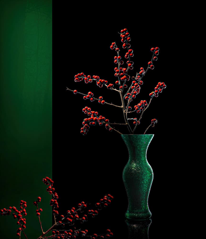 Elegant Winter Berries by John-Mei Zhong — canvas wall art
