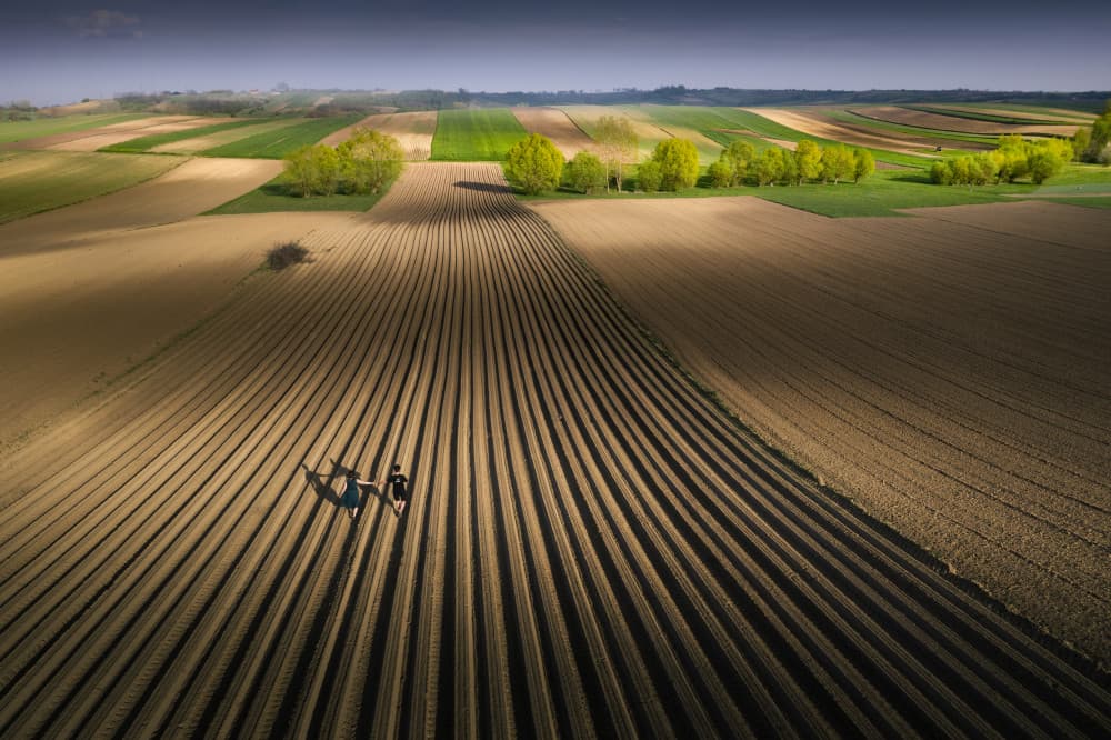 Long Shadows Field Walk by Karol Nienartowicz — canvas wall art