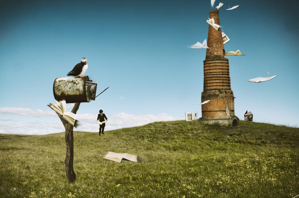 Puffin Flying Books by Christine von Diepenbroek — canvas wall art