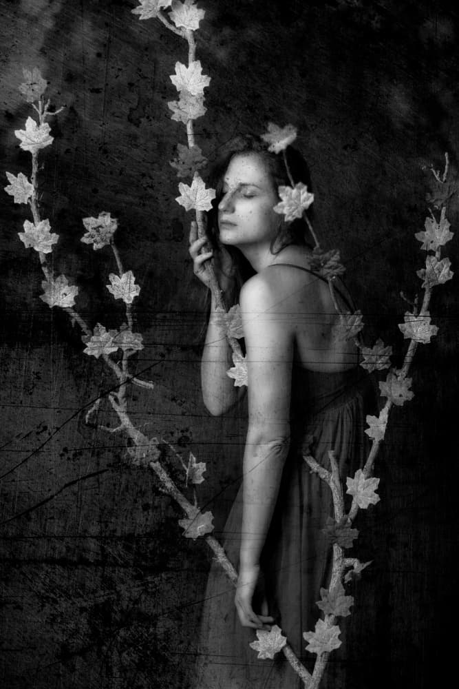 Dreamy Nature Portrait by Amnon Eichelberg — canvas wall art