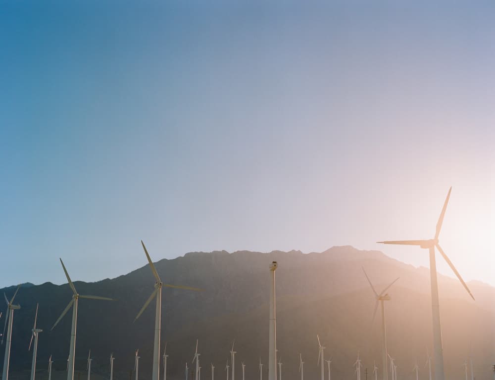 Golden Hour Wind Farm by Bethany Young — canvas wall art