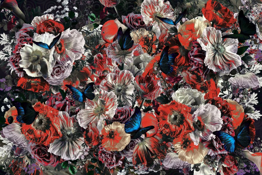 Dark Floral Butterflies by Sue Skellern — canvas wall art