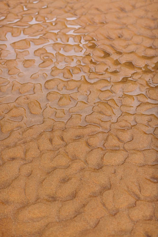 Shimmering Sand Patterns by Javier Pardina — canvas wall art