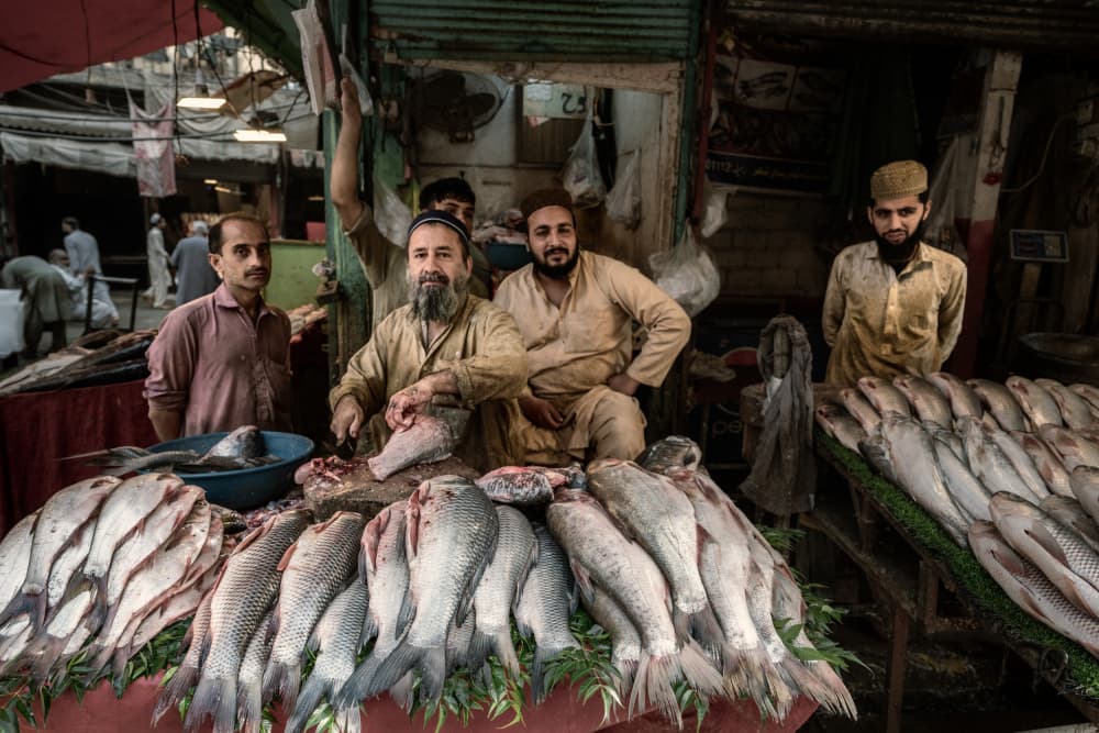 Fresh Fish Market Life by Trevor Cole — canvas wall art