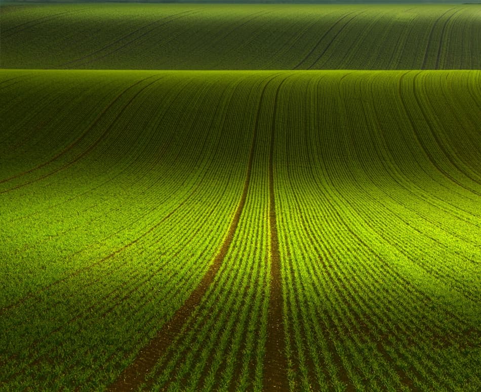Rolling Green Fields by Nicolas Schumacher — canvas wall art