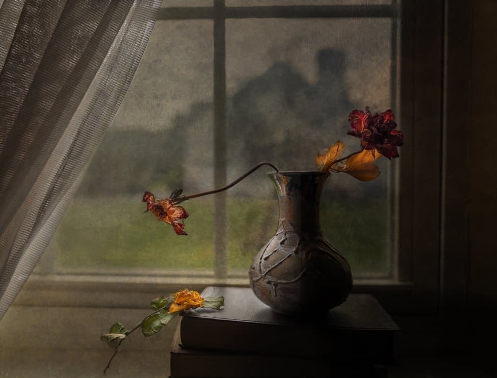 Dried Roses Window View by John-Mei Zhong — canvas wall art