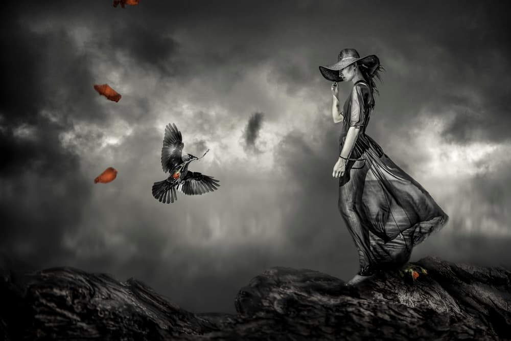 Melancholy Woman Flying Bird by Martine Benezech — canvas wall art