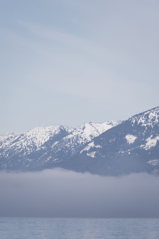 Misty Mountain View by Lynann Colligan — canvas wall art