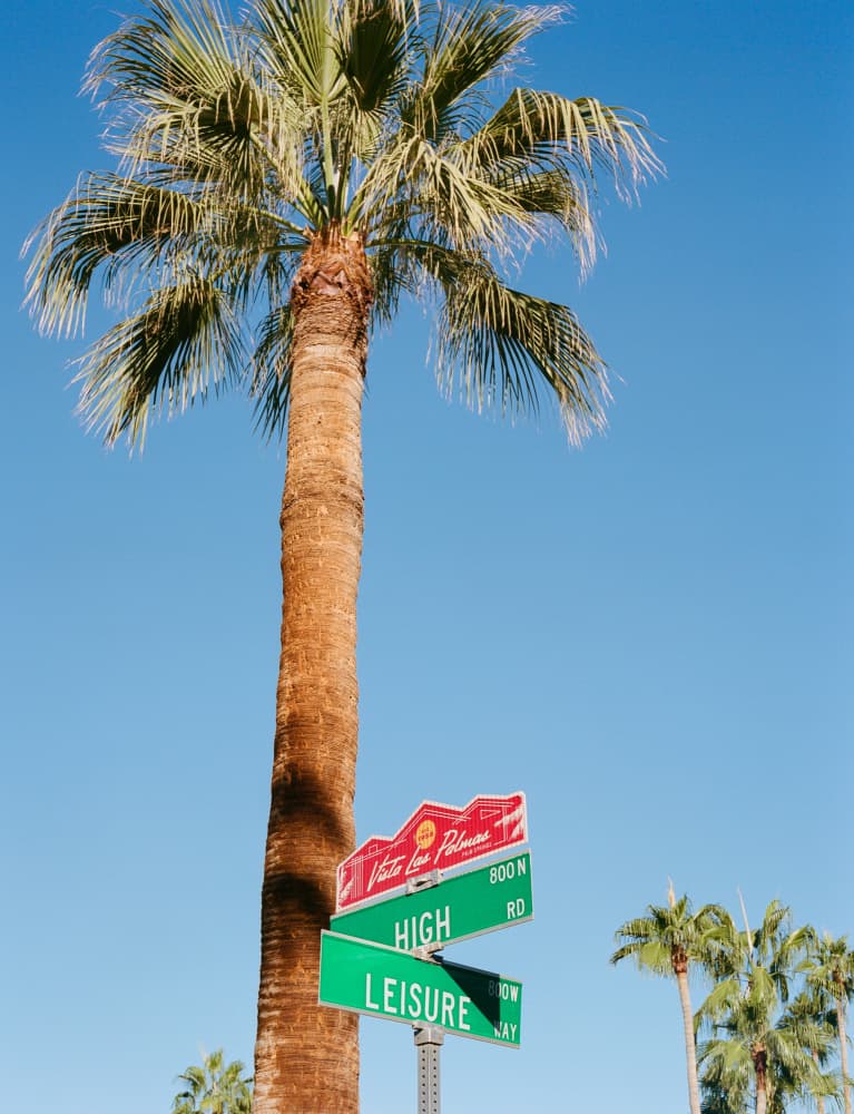 High Leisure Palm Tree by Bethany Young — canvas wall art