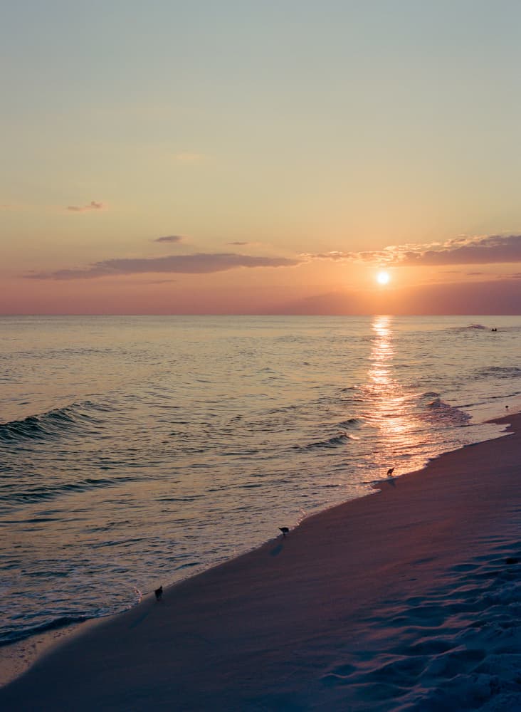 Golden Beach Sunset by Bethany Young — canvas wall art