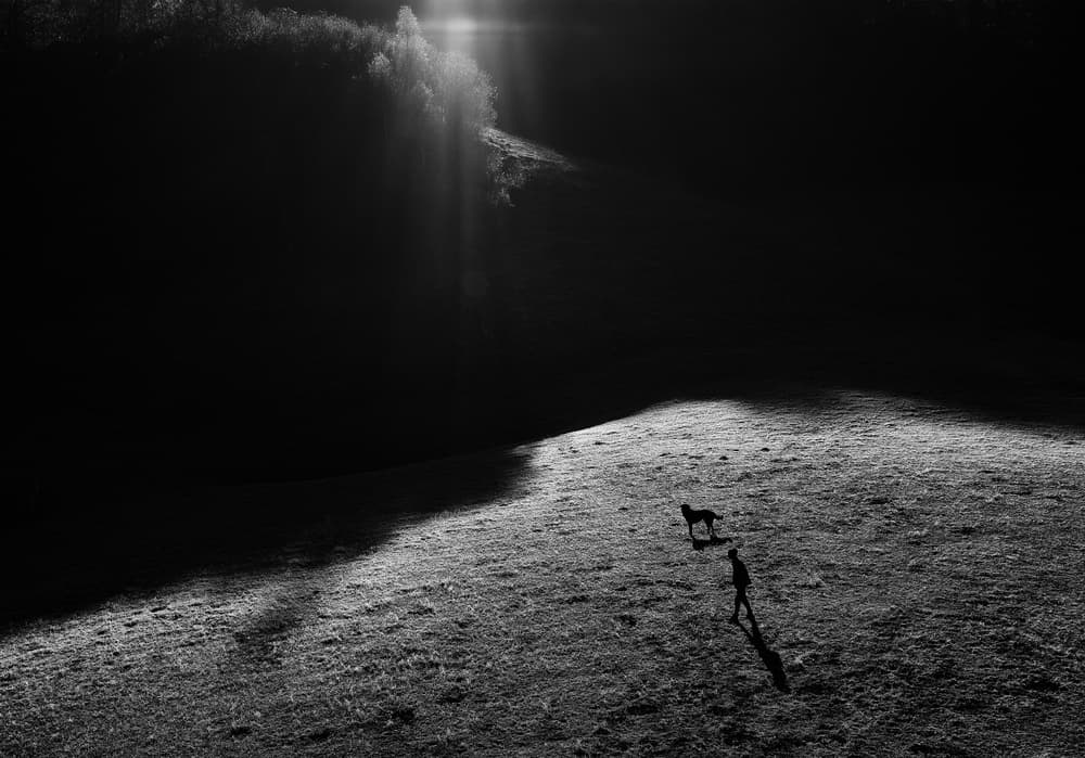 Solitary Walk Dog by Julien Oncete — canvas wall art