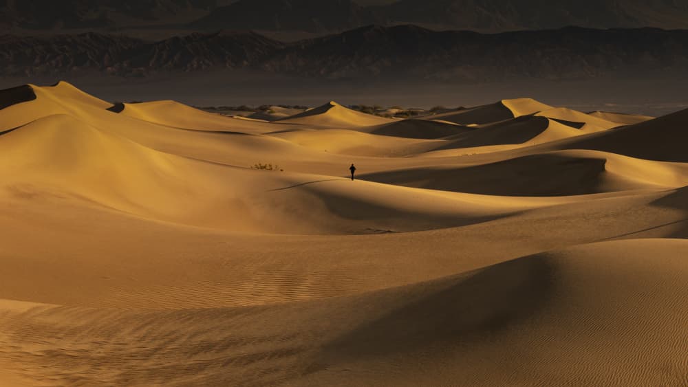 Desert Solitude Journey by Chuan Chen APA — canvas wall art