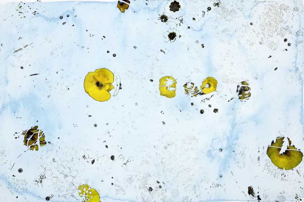 Floating Yellow Flowers by Miriam Stayte — canvas wall art