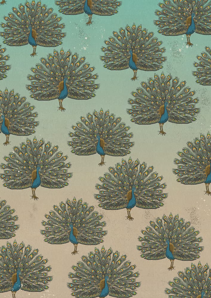 Regal Peacock Pattern by Nicholas — canvas wall art