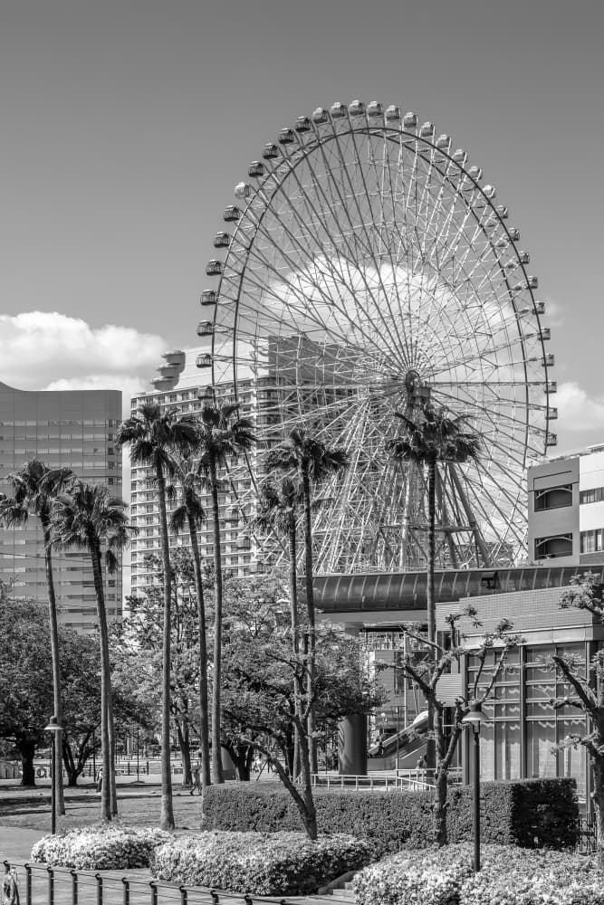 Ferris Wheel City Palms by Melanie Viola — canvas wall art