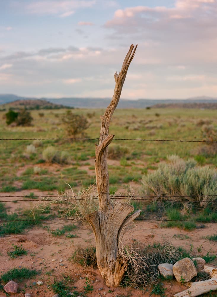 Weathered Desert Fence Post by Bethany Young — canvas wall art