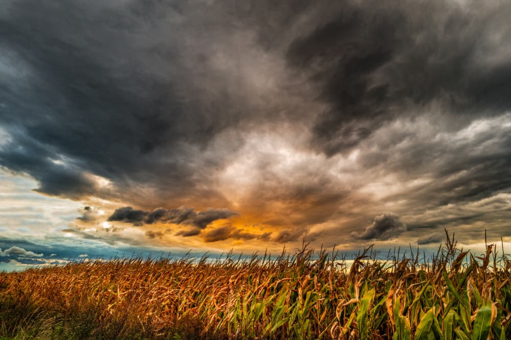 Dramatic Cornfield Sky by Slawomir Kowalczyk AFRP FIAP IAAP — canvas wall art