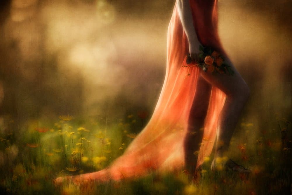 Woman In Flowing Dress by Charlaine Gerber — canvas wall art