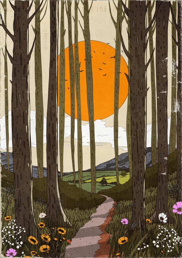 Forest Path Sunrise by Nicholas — canvas wall art