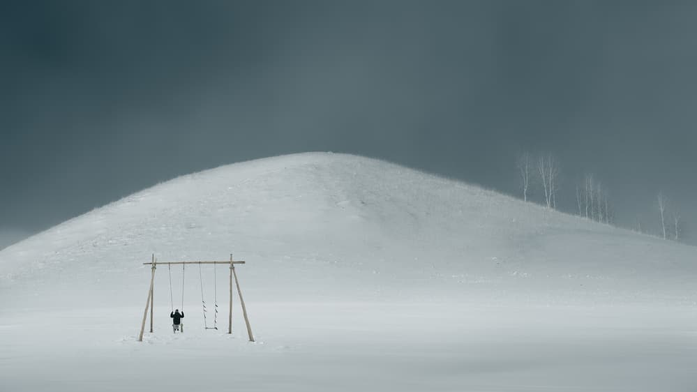 Solitary Winter Swing by Bingo Z — canvas wall art