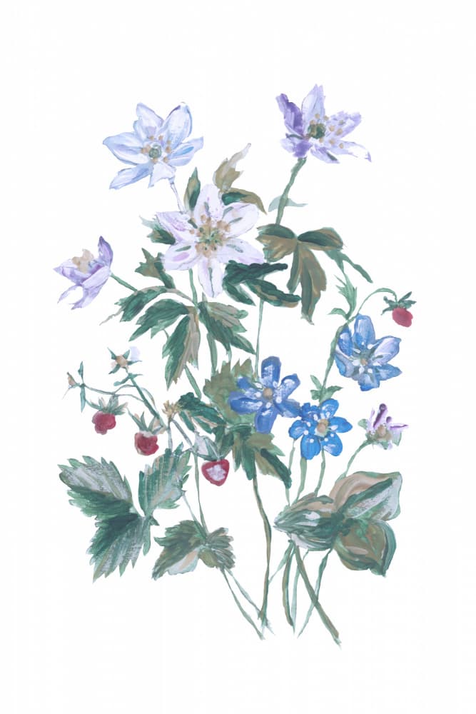 Vintage Wildflower and Alpine Strawberry Botanical by cartissi — canvas wall art