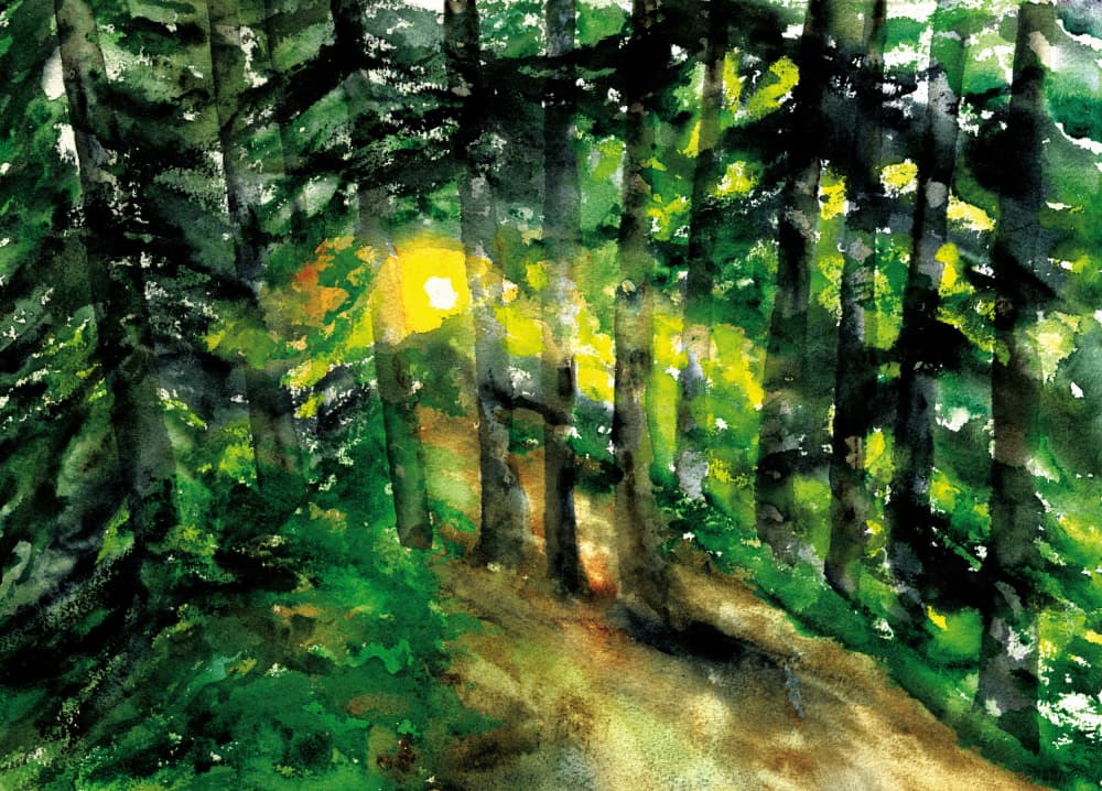 Sunlit Forest Path by RodMacIver — canvas wall art