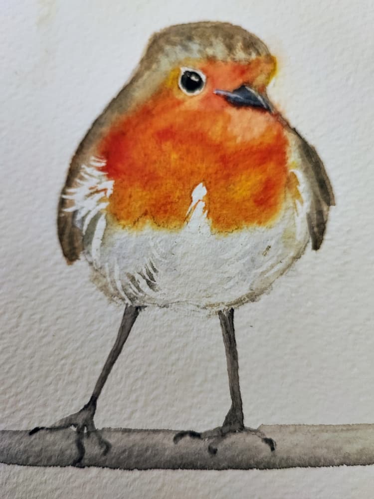 Cute Watercolor Robin by Annette Armitage — canvas wall art