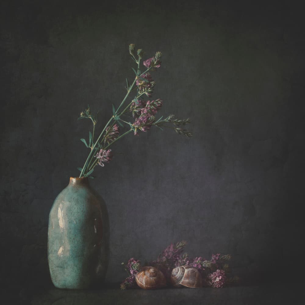 Moody Botanical Still Life by Cicek Kiral — canvas wall art