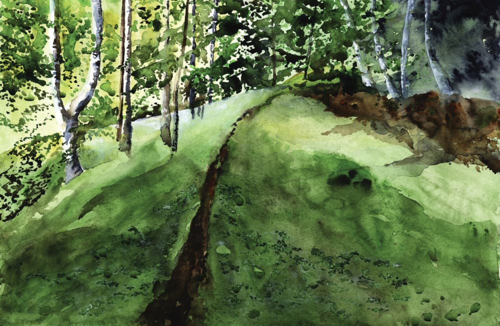 Lush Forest Path by RodMacIver — canvas wall art