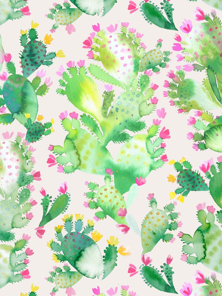 Pink Cactus Blooms by Ninola Design — canvas wall art