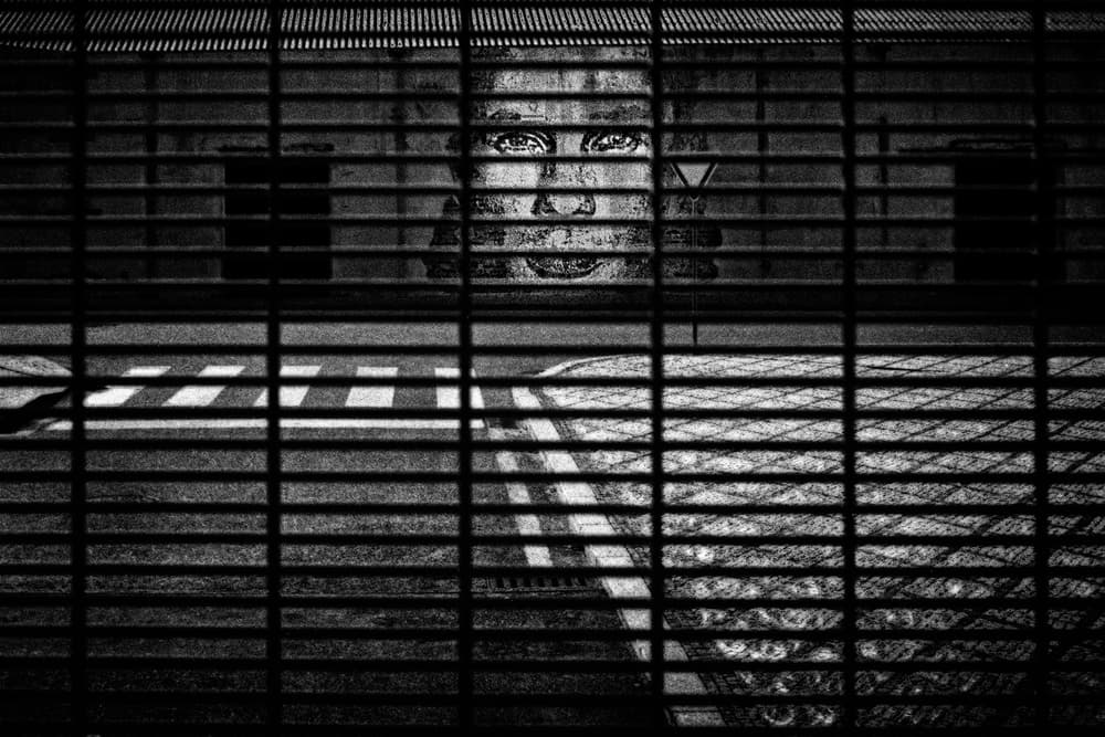 Hidden Urban Gaze by Paulo Abrantes — canvas wall art