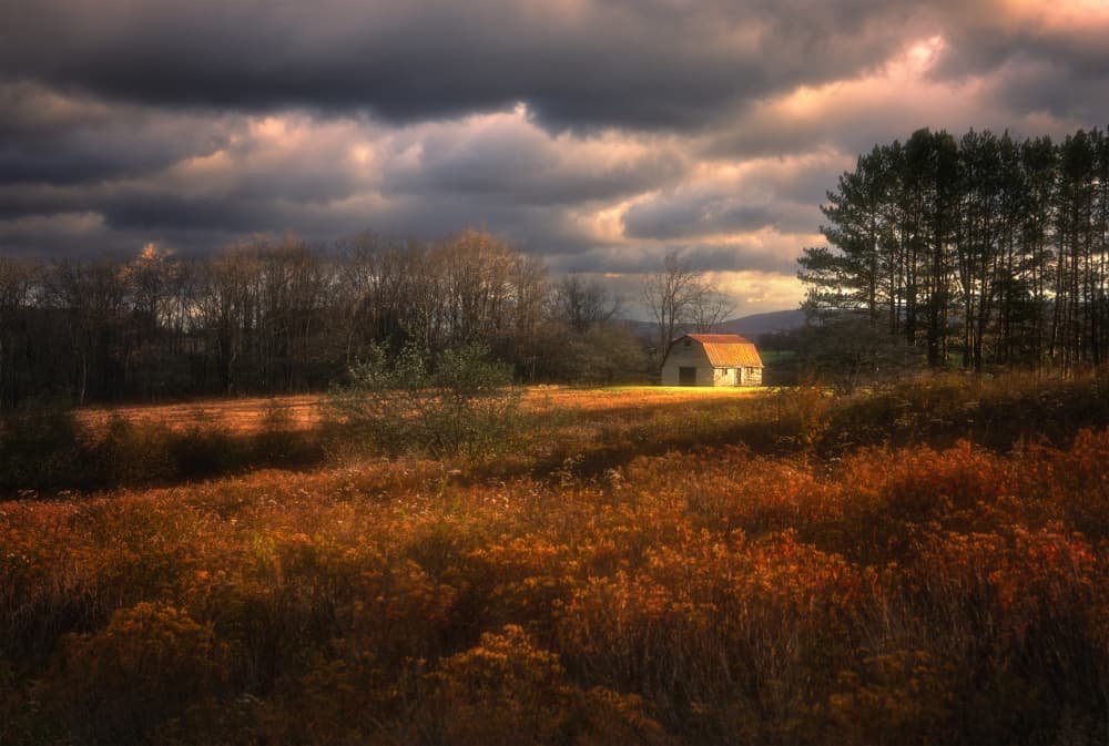 Golden Autumn Barn by Ruiqing P. — canvas wall art