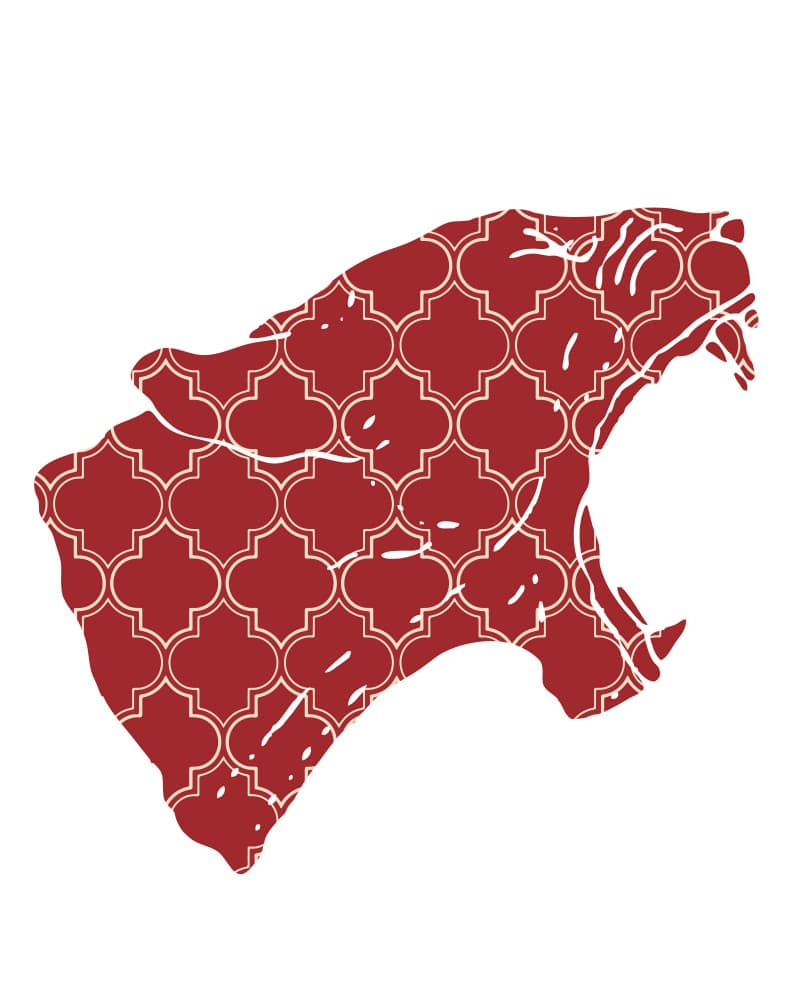 Fierce Red Patterned Feline by Emiliano Deificus — canvas wall art