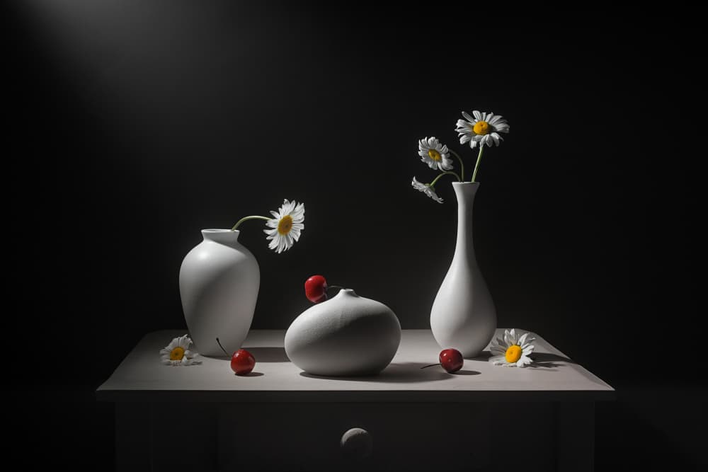 Daisies Vases and Cherries by Lydia Jacobs — canvas wall art