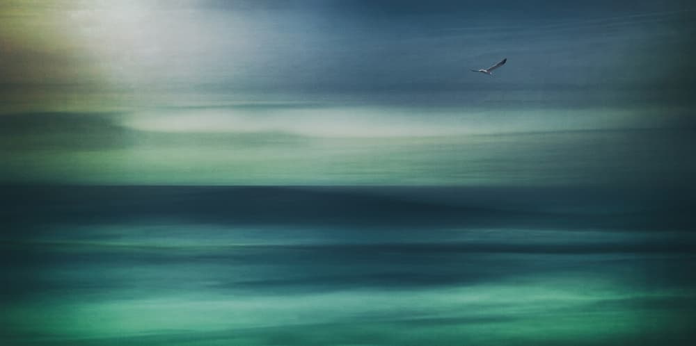 Serene Ocean Flight by Sherin.Abdou — canvas wall art