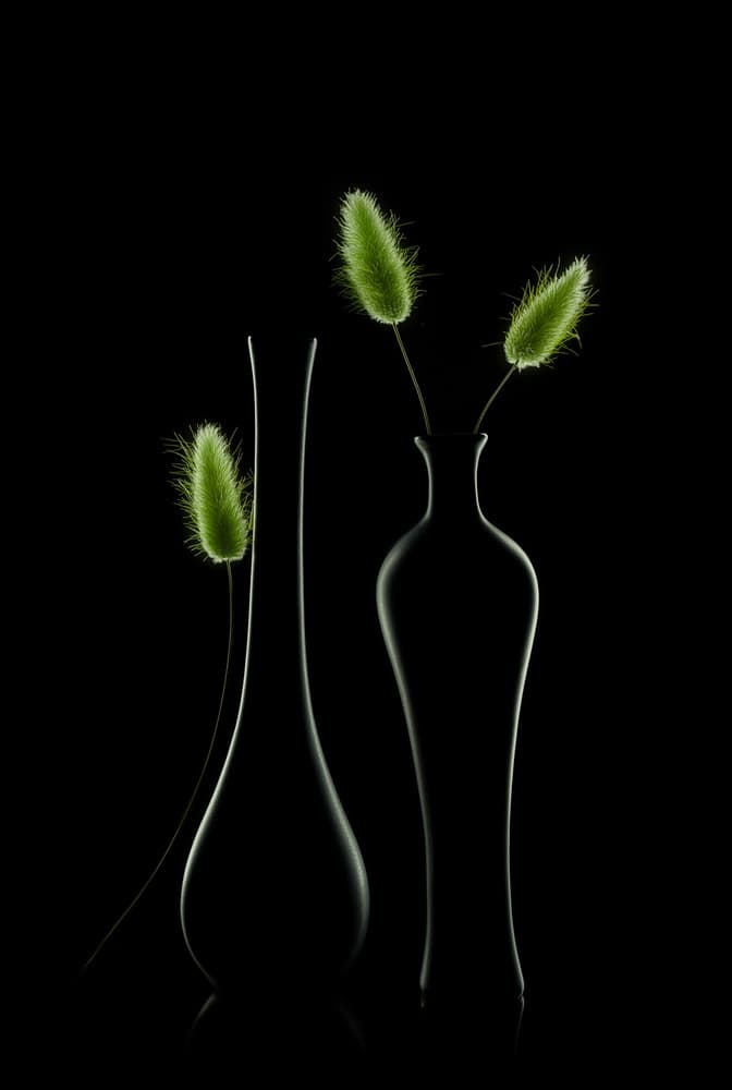 Elegant Green Still Life by Lydia Jacobs — canvas wall art