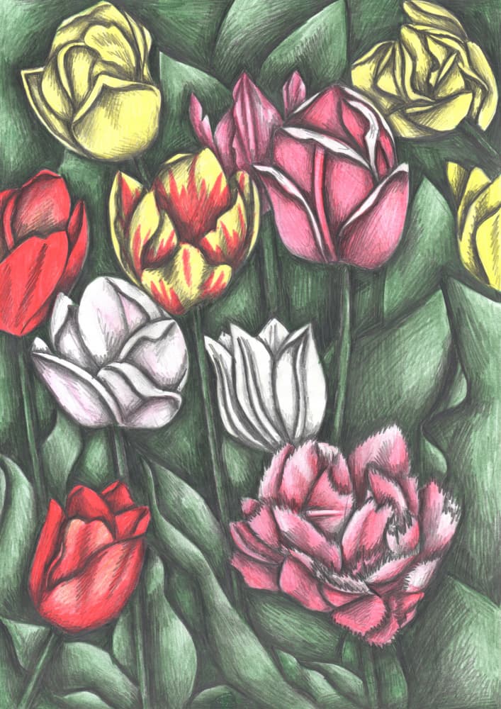 Colorful Tulip Garden by Cecilia Battaini — canvas wall art