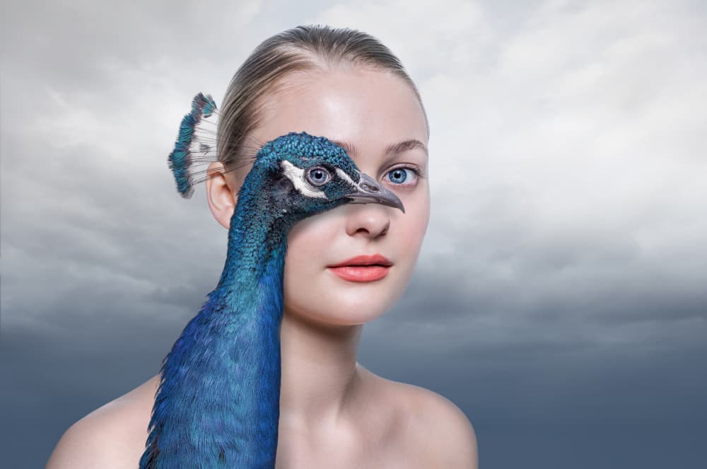 Surreal Peacock Portrait by Marcel Egger — canvas wall art