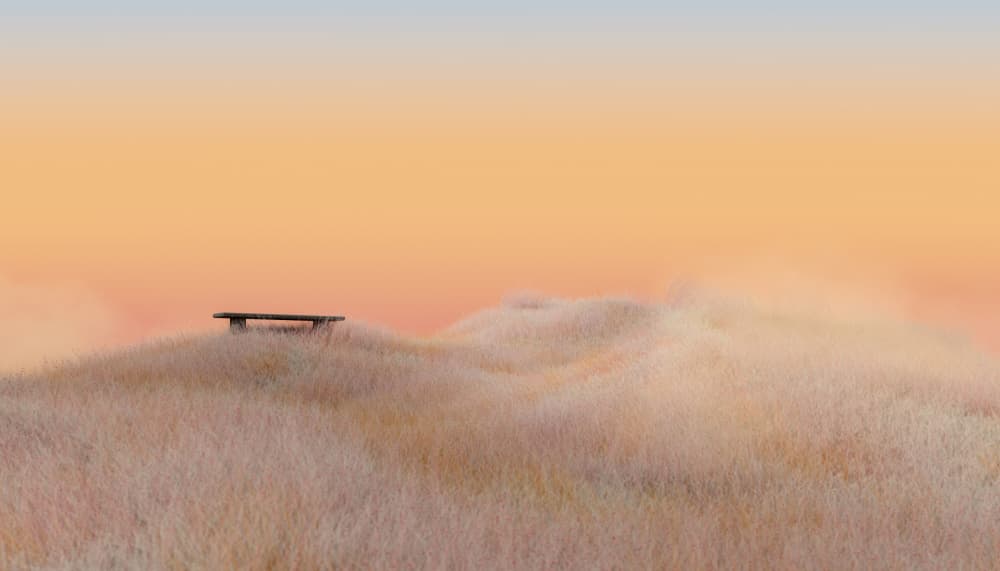 Golden Hour Hilltop Bench by Javier Pardina — canvas wall art