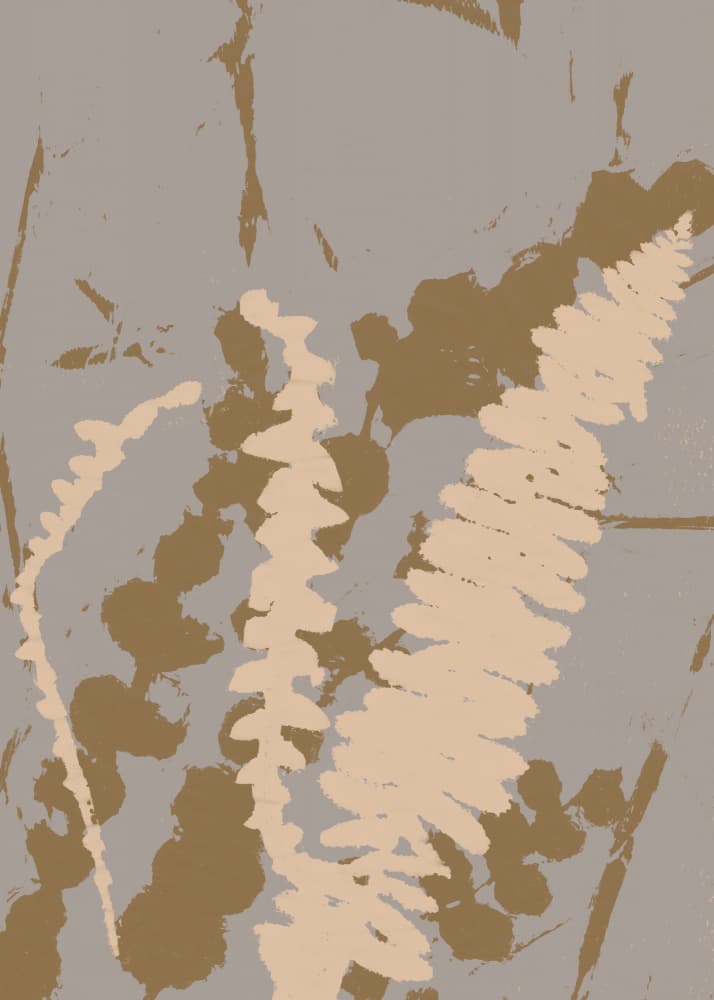 Muted Botanical Ferns by Dina Dankers — canvas wall art
