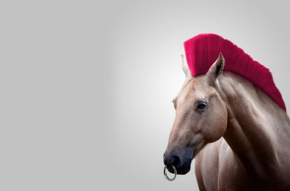 Wild Horse by Artem Pozdniakov — canvas wall art
