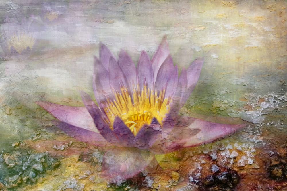 Ethereal Purple Lotus by Igor Kopcev — canvas wall art