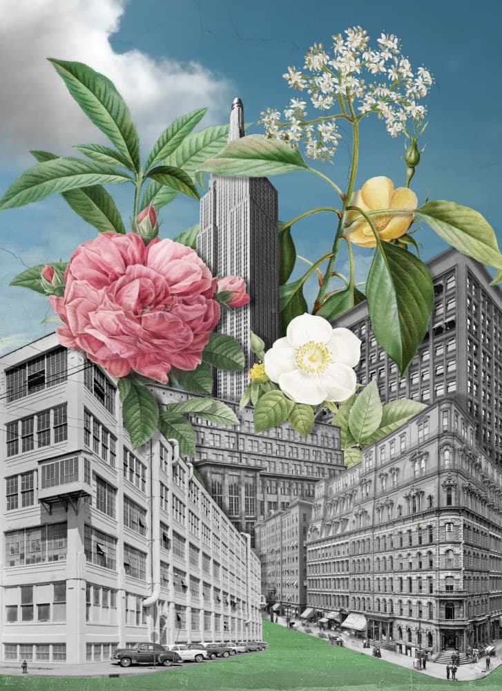 Botanical Cityscape by Marja van den Hurk — canvas wall art