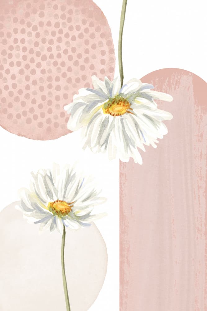 Soft Pink Daisies by Sally Ann Moss — canvas wall art