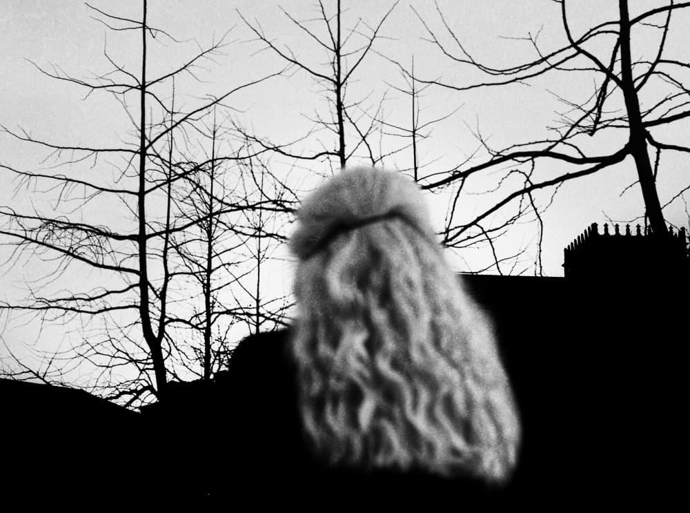 Wavy Hair Castle View by Paulo Abrantes — canvas wall art