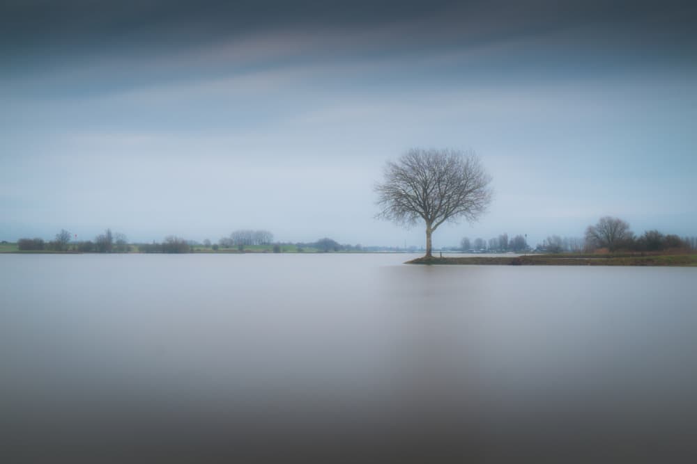 Lone Winter Tree by Fred Louwen — canvas wall art