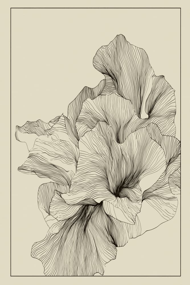 Floating coral by Treechild — canvas wall art