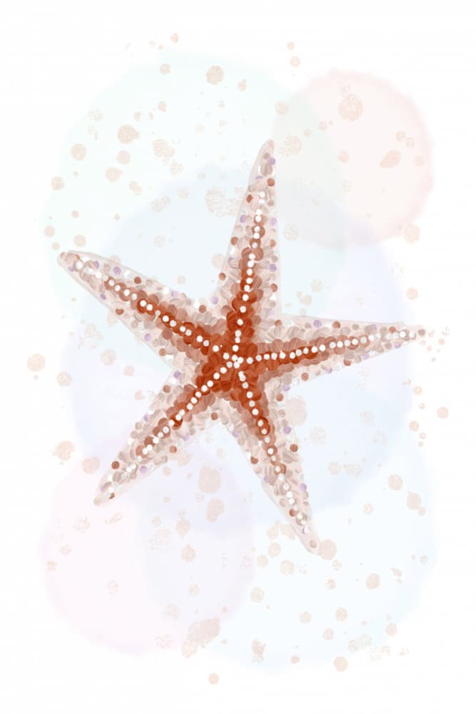 Soft Watercolor Starfish by Martina — canvas wall art