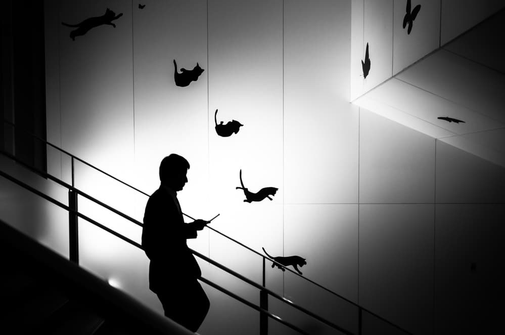 Cats on Stairs Silhouette by Tetsuya Hashimoto — canvas wall art