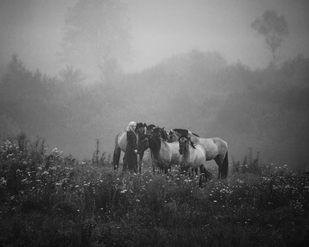 Woman and Horses in Mist by Leszek Paradowski — canvas wall art